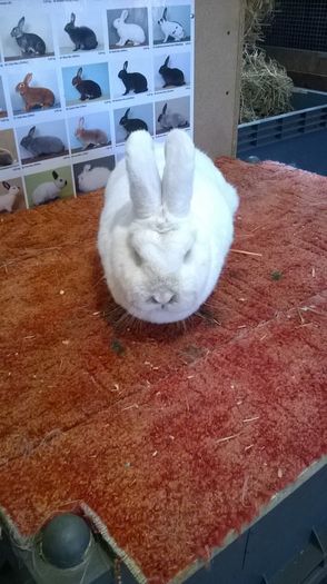 Femelă pentru Andrei; S 1 4
57 37
