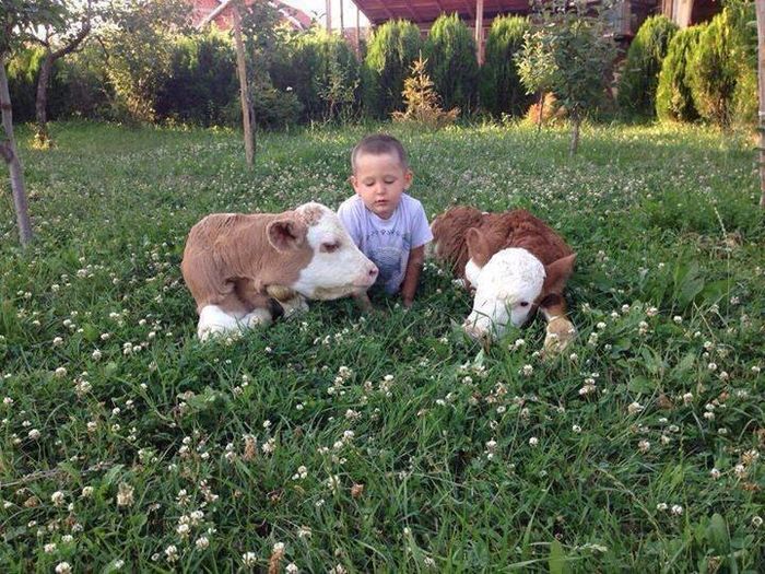 12994540_864613896997641_203834608742890309_n