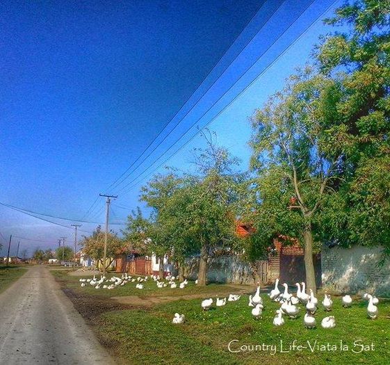 13000158_864408790351485_4354885916497311059_n