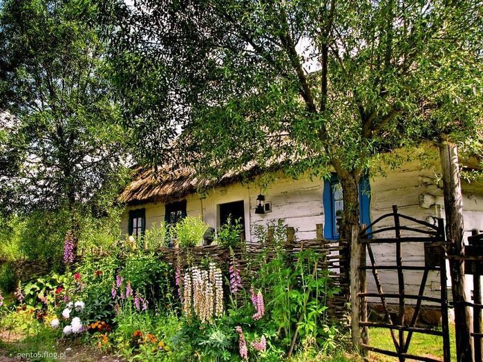 13001233_862503630542001_274227460802757959_n