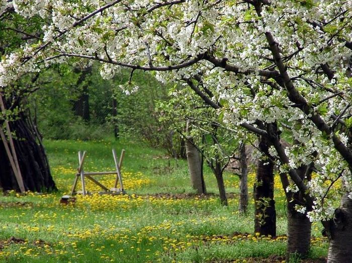 13043229_866128613512836_7935866302972275482_n