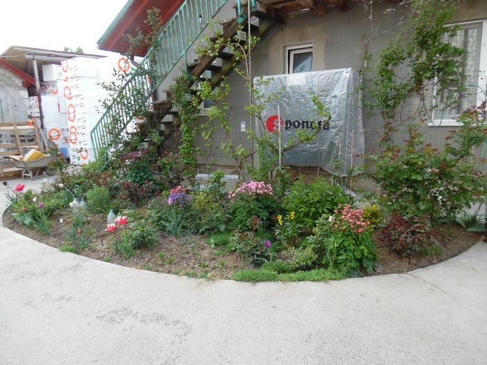 039 - Primavara in gradina 2