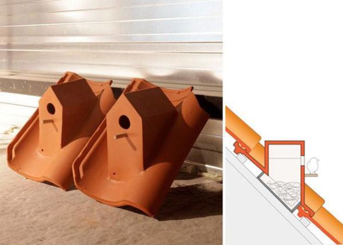 1173756_10153338240252102_8342927188682939485_n