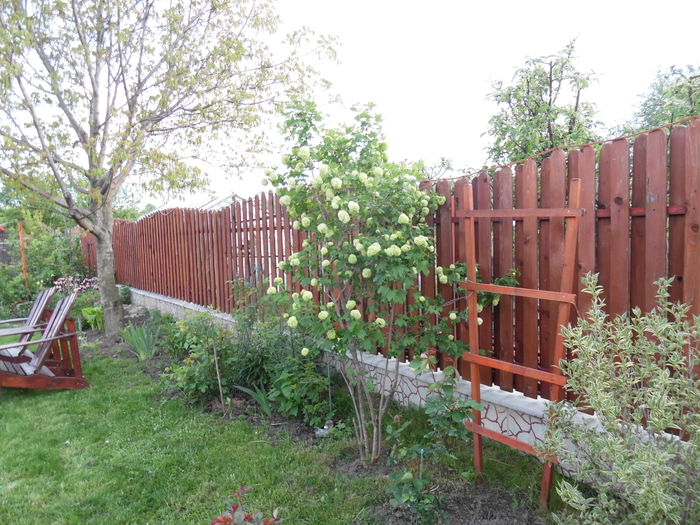 043 - Primavara in gradina 2