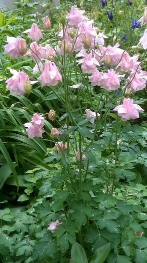 WP_20160425_16_16_05_Pro