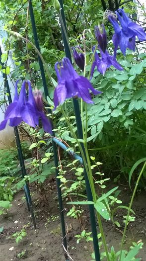 WP_20160425_16_22_30_Pro