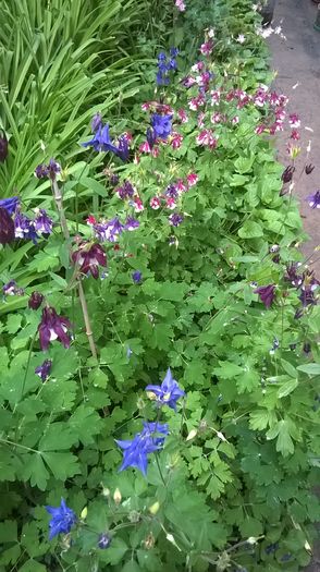 WP_20160425_17_54_13_Pro