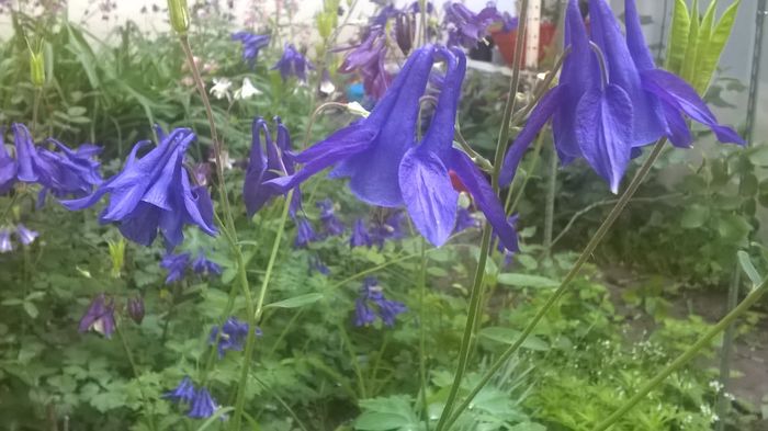 WP_20160427_09_23_19_Pro