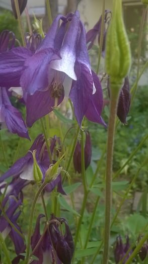 WP_20160427_09_26_36_Pro