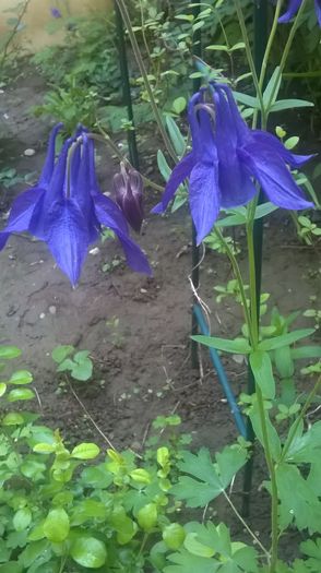 WP_20160427_09_27_56_Pro