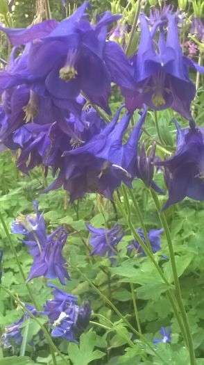 WP_20160427_09_29_08_Pro