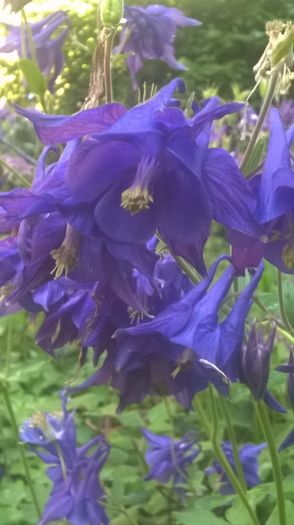 WP_20160427_09_29_18_Pro