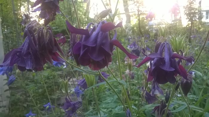 WP_20160427_09_33_04_Pro