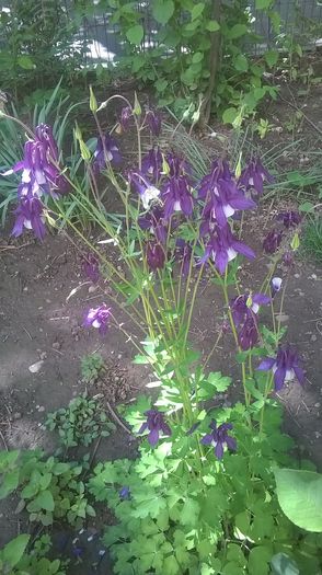 WP_20160427_15_08_12_Pro