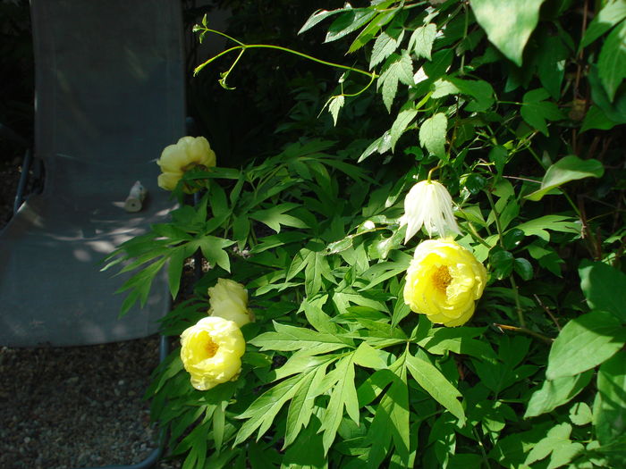 DSC01529