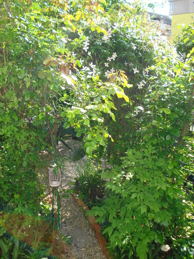 DSC01522 - Gradina 2016