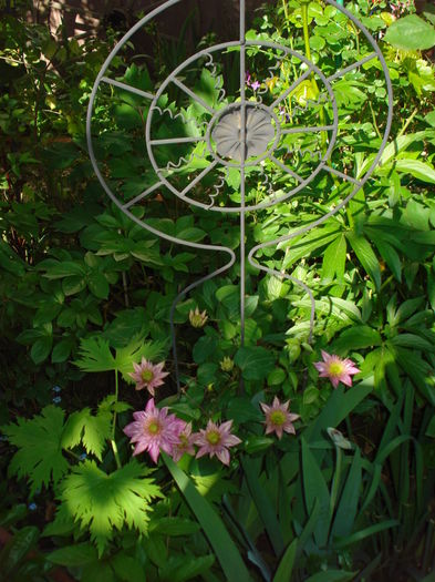 DSC01555 - Gradina 2016