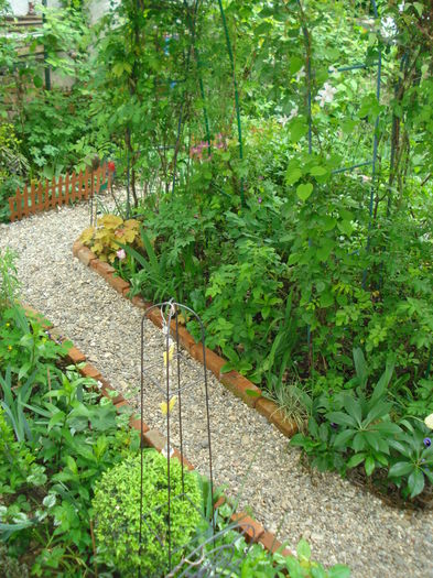 DSC01618 - Gradina 2016