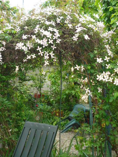 DSC01597 - Gradina 2016