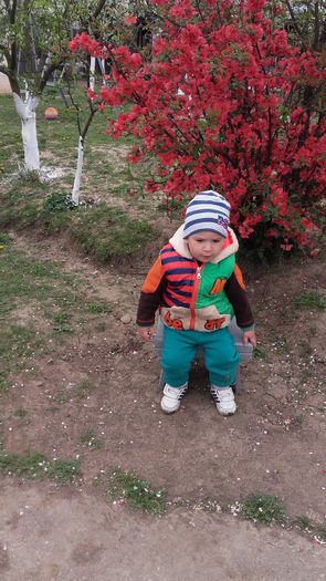 20160408_110329 - 00 ROBERT
