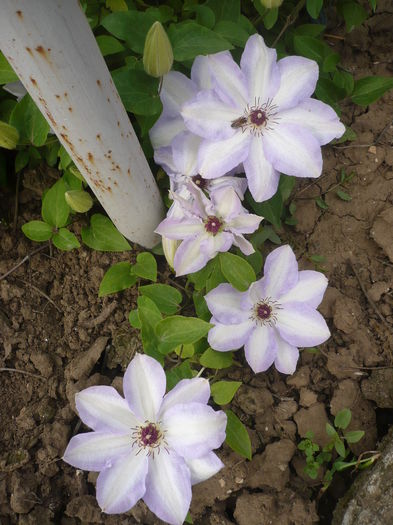 P1260055