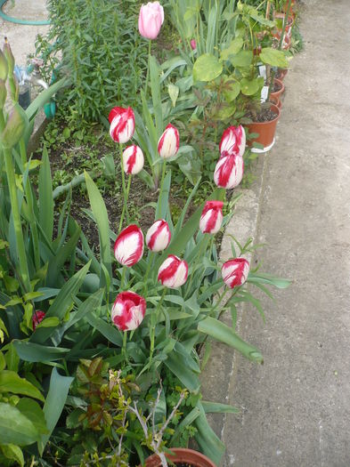 P1260070