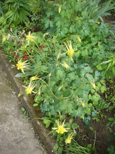 P1260071