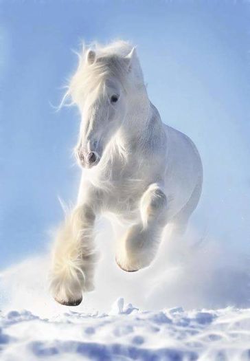 FB_IMG_1461849888826