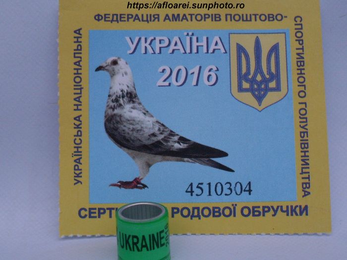 ukraine 2016 verde - UKRAINA-UKR