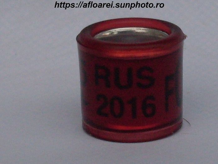 rus 2016 F - RUSIA