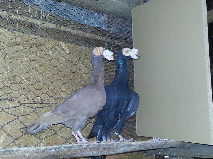 0-1 RO 2014  1-0 RO 2012