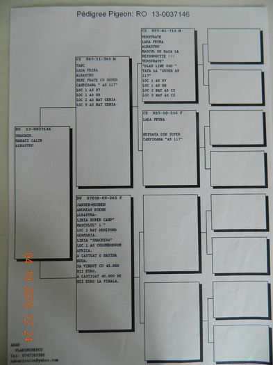 RO-37146-2013 pedigree