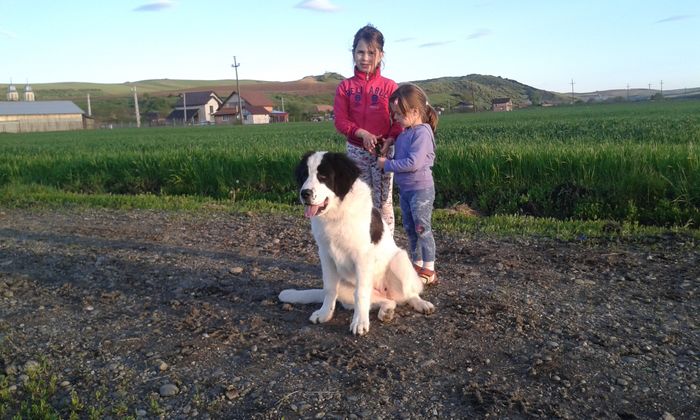 20160427_195116 - 1-C R B Codi-Bura-Ozana-Guta si fetele