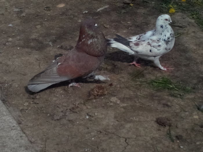 4; IMG_20160401_115426
