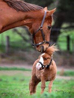 FB_IMG_1461849987180