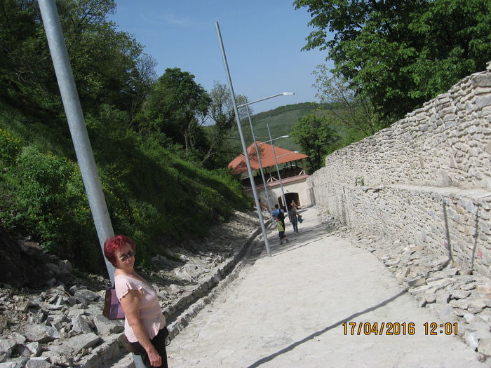 Picture 5953 - 5 CETATEA DEVEI RENOVATA