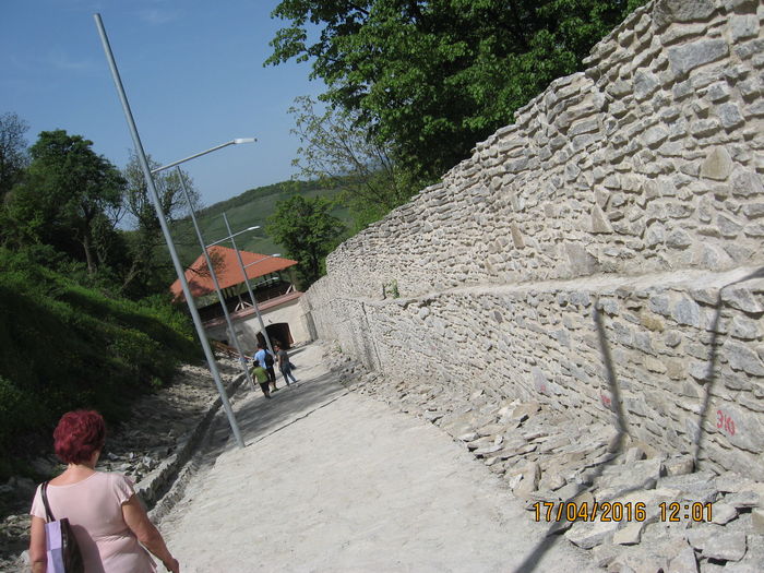 Picture 5954 - 5 CETATEA DEVEI RENOVATA