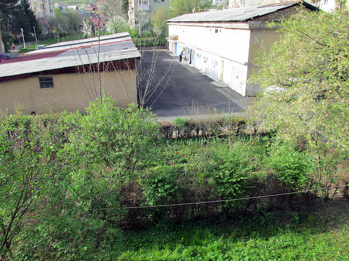 06.04.2016 gradina vazuta din balcon - 2016 - My messy garden