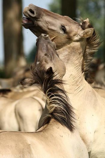 FB_IMG_1461850118996