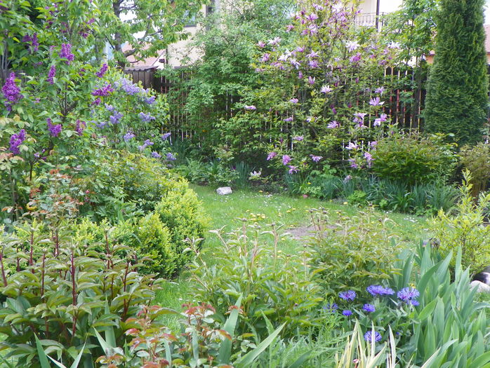 30 apr (4) - Gradina 2016