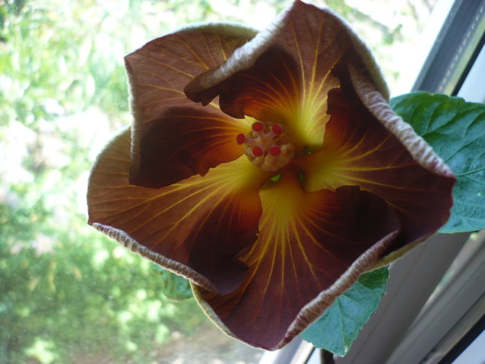 P1260097