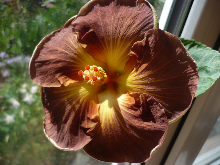 P1260098
