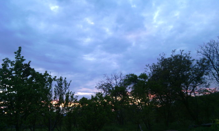 IMG_20160430_203116[1] - apus de soare