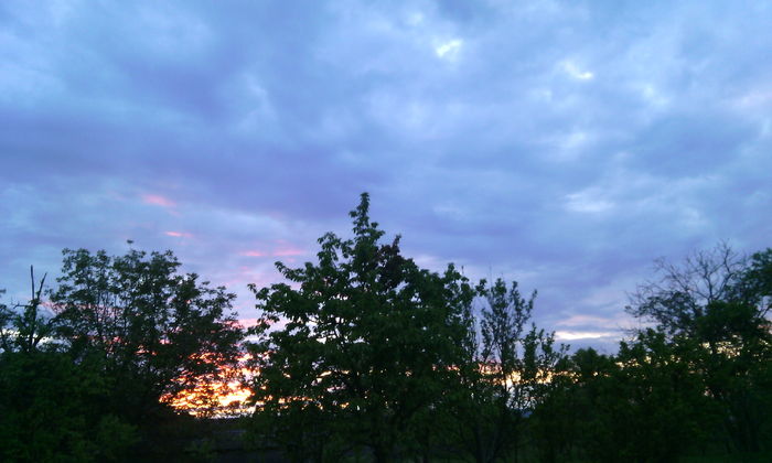 IMG_20160430_203130[1] - apus de soare
