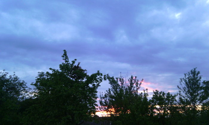 IMG_20160430_203352[1] - apus de soare
