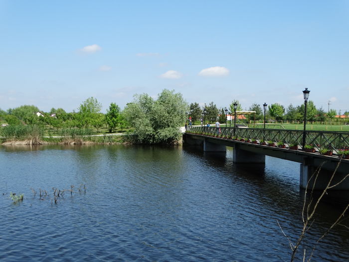 DSC00256 - Parcul natural Comana