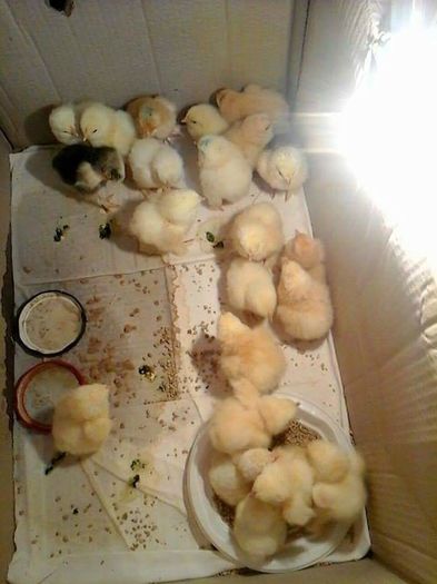 received_771054176365227