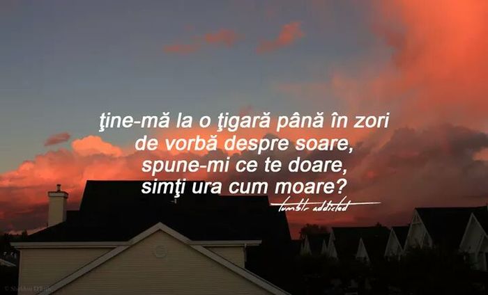  - x i m givin up on u