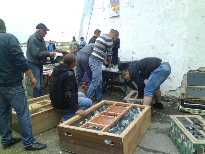 Imbarcare Buzau 015