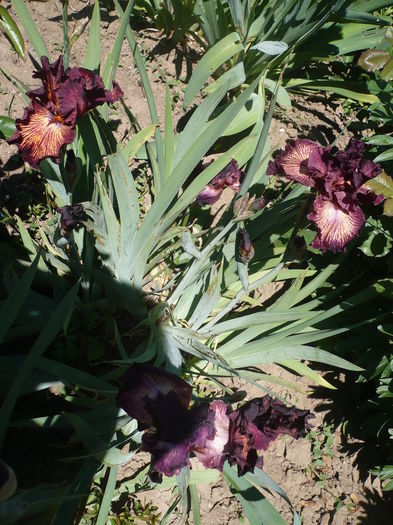 P1260139